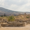 Volubilis_03